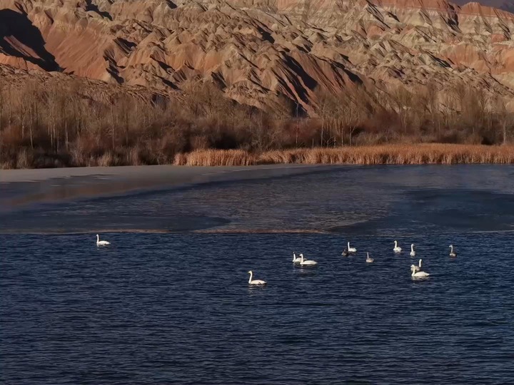 青海貴德:冬日丹霞湖泊相映成景